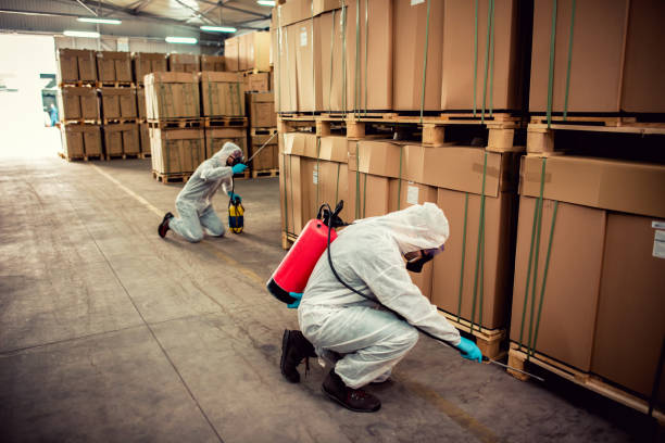 Best Pest Removal Services  in Waterloo, IL
