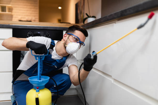 Flea Control Services in Waterloo, IL