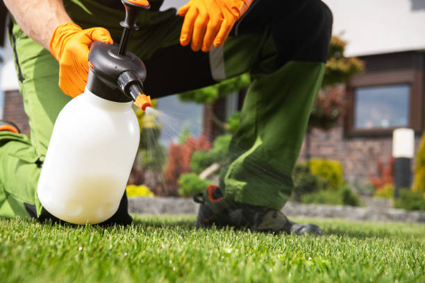 Best Residential Pest Control  in Waterloo, IL
