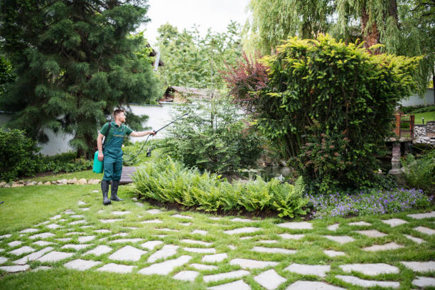 Best Best Pest Control Companies  in Waterloo, IL