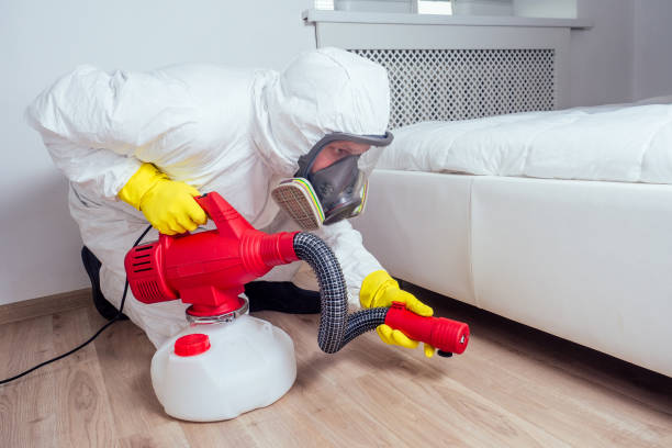 Wasp Removal Services in Waterloo, IL