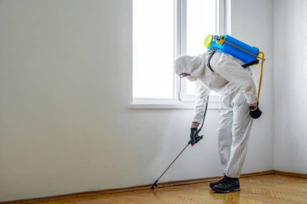Best Wasp Removal Services  in Waterloo, IL