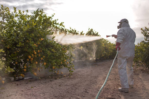 Best Cockroach Control Services  in Waterloo, IL
