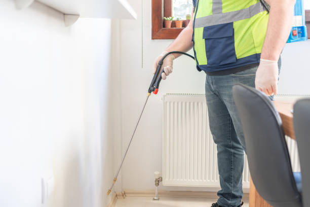 Best Rat Extermination Near Me  in Waterloo, IL