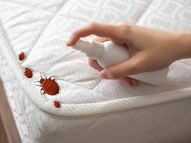 Best Insect Control  in Waterloo, IL