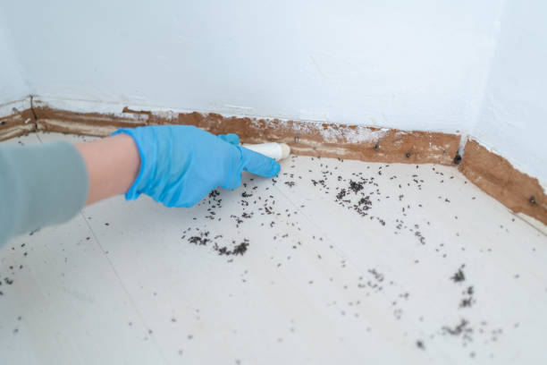 Best Exterminator Services  in Waterloo, IL